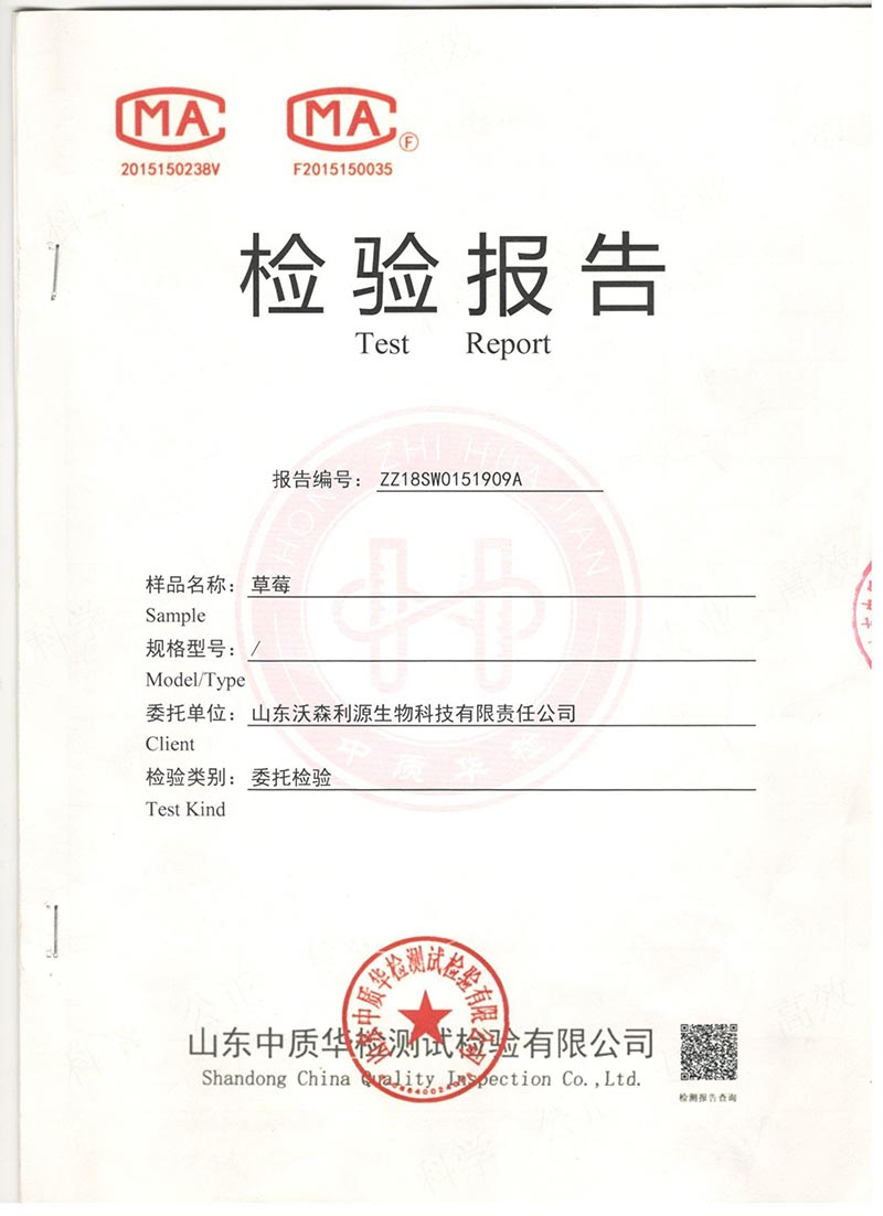 草莓检测报告(对照)