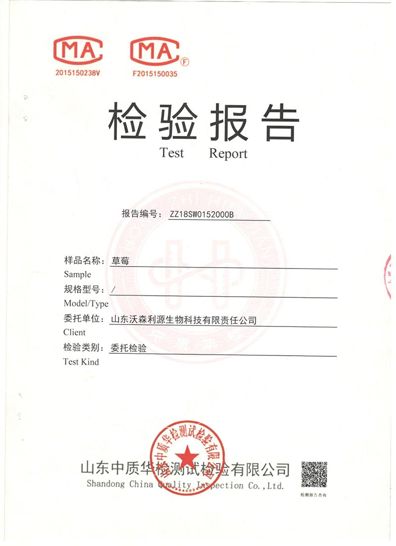 草莓检测报告(试用组)