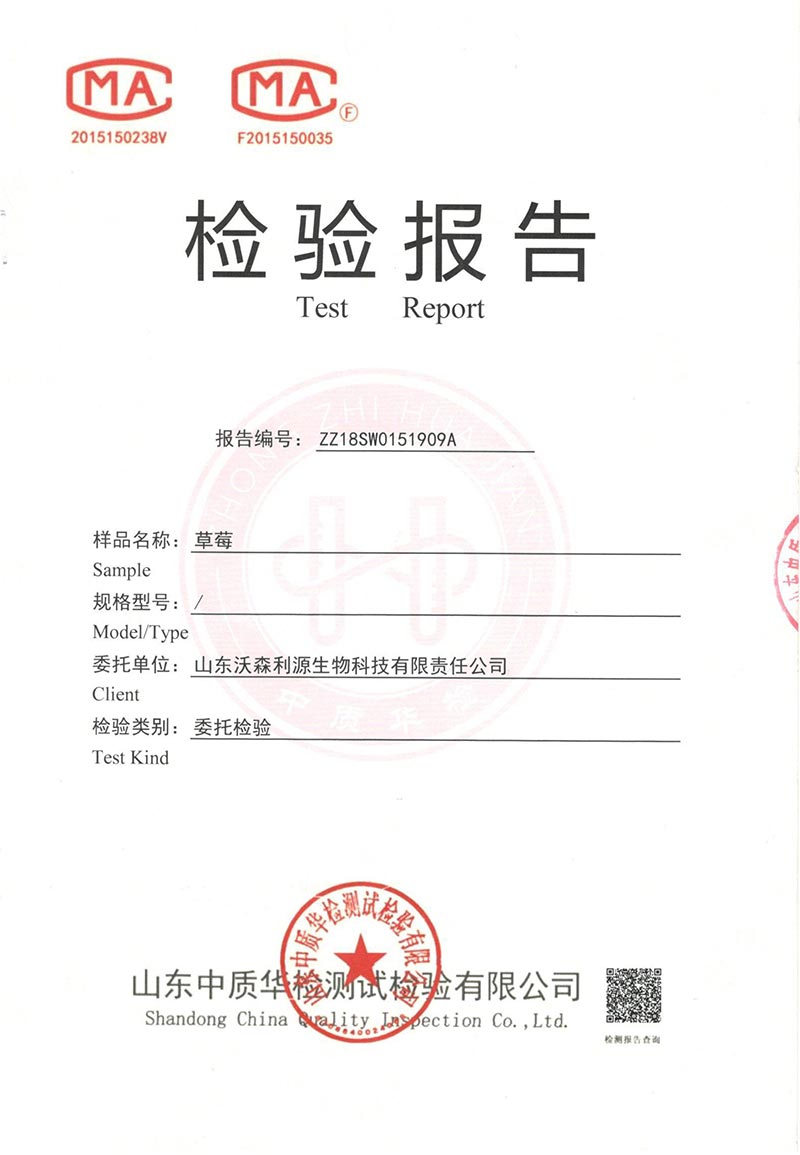 草莓检验报告（未使用改良液）