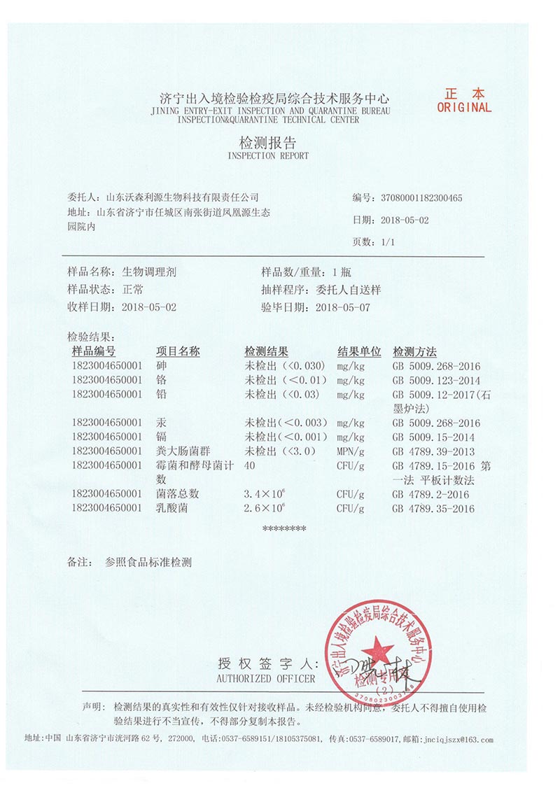 济宁检验局检查报告