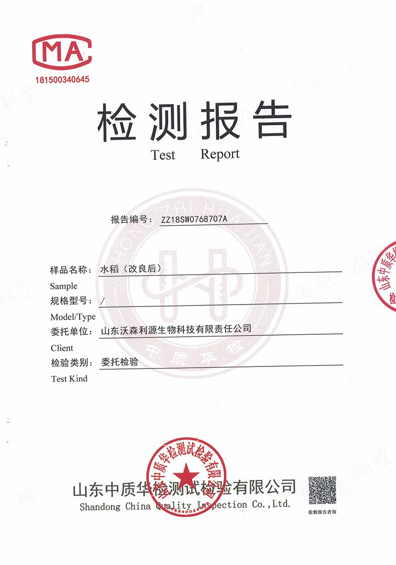 水稻（改良后）