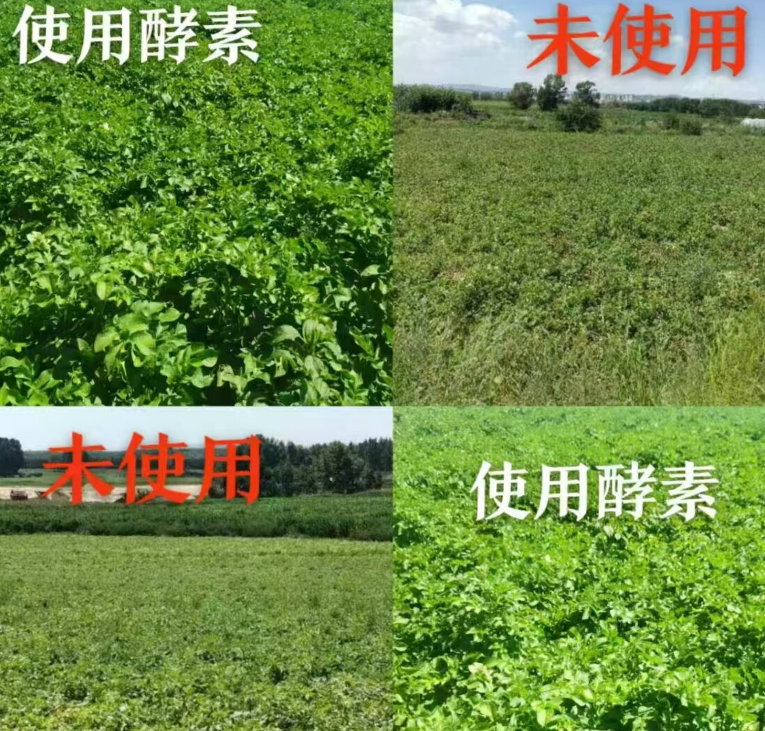 使用产品前后对比